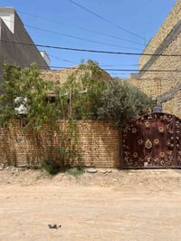 طابو صرف • ٢٠٠م • أم الخيل الثالثة