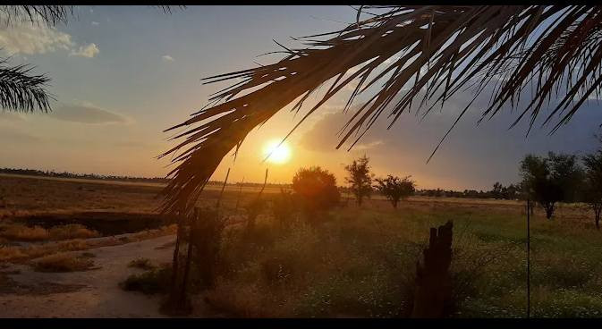 عندي  373 دونم بديالى مندلي
سعر مناسب جدا 
طابو صرف
الاتصال ***********
