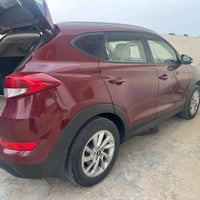 توسان • ٢٠١٧ • رقم بابل