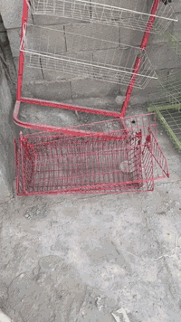 قيم واخذ.  
سلات. جبس.  
العنوان. مدينة الصدر.  شارع الاورفلي.   ***********. 
⚠️⚠️⚠️⚠️⚠️⚠️⚠️⚠️⚠️⚠️⚠️⚠️⛔️⛔️⛔️⛔️⛔️⛔️⛔️⛔️📍📍📍📍📍📍📍
