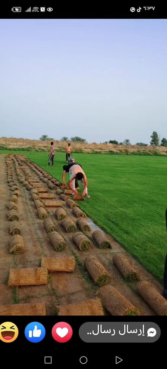 للبيع الثيل الاجمل الثيل الطبيعي بكافه انواعه
ثيل درجه اولا
للاتصال ***********
