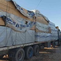 خشب جام روسي • جميع المقاسات • الحلة شارع 80