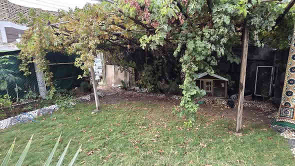 سلام عليكم
بيت للبيع ١٢٢ متر حي الشهداء خلف شارع الصياغ على ساحه مع حديقه طابق واحد السعر ١٤٥ مع المجال 
*********** ابو سجاد
