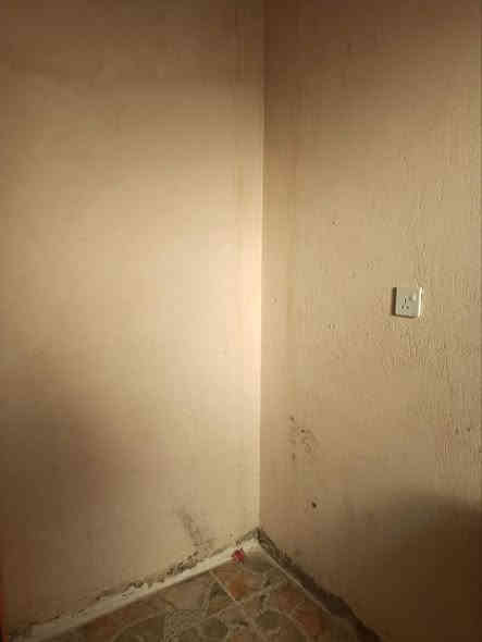 السلام عليكم اني لباخ جص وسمت وطلس ولط وبوك كباله ومتر فقط اخوكم ابو حسين العنوان  نجف حي النداء موكلف بل نشر بي واتساب او اتصال ***********
