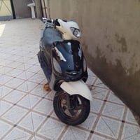 دولفين • معدل فول