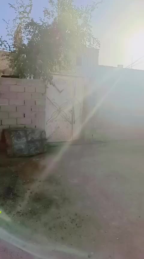 سلام عليكم من رخصت ابو الكروب بيت مع بتلو اللبيع طابو زراعي سند ٢٥ مساحة ٧٠٠م البيت يتكون من غرفتين نوم وصالة واستقبال ومطبخ وصحيات داخلية وخارجية بتلو اساس كونكريت يبعد عن شارع العام ١٠٠م العنوان طريق السنية الاتصال على الرقم ***********
