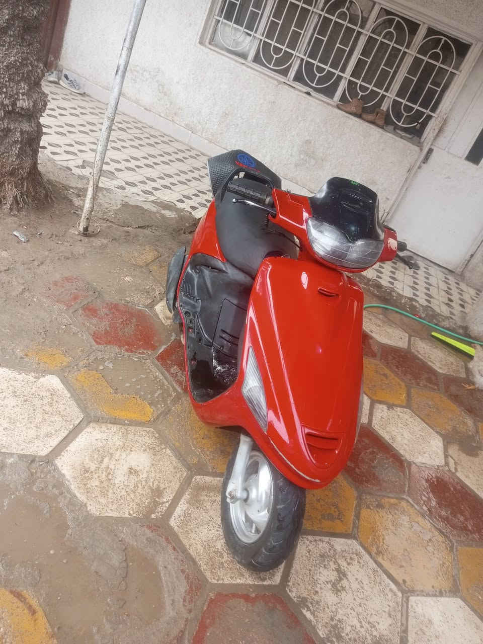 سلام عليكم فراشه فحل للبيع كهربائيات شغاله مكينه مفتوحه بس عوزه صالنصه. كامل مكمل ترهم   مراوس ماكس


**إذا كنت صاحب هذا الإعلان وتريد حذفه لأي سبب، رجاءا أرسل رسالة إلى الدعم الفني**