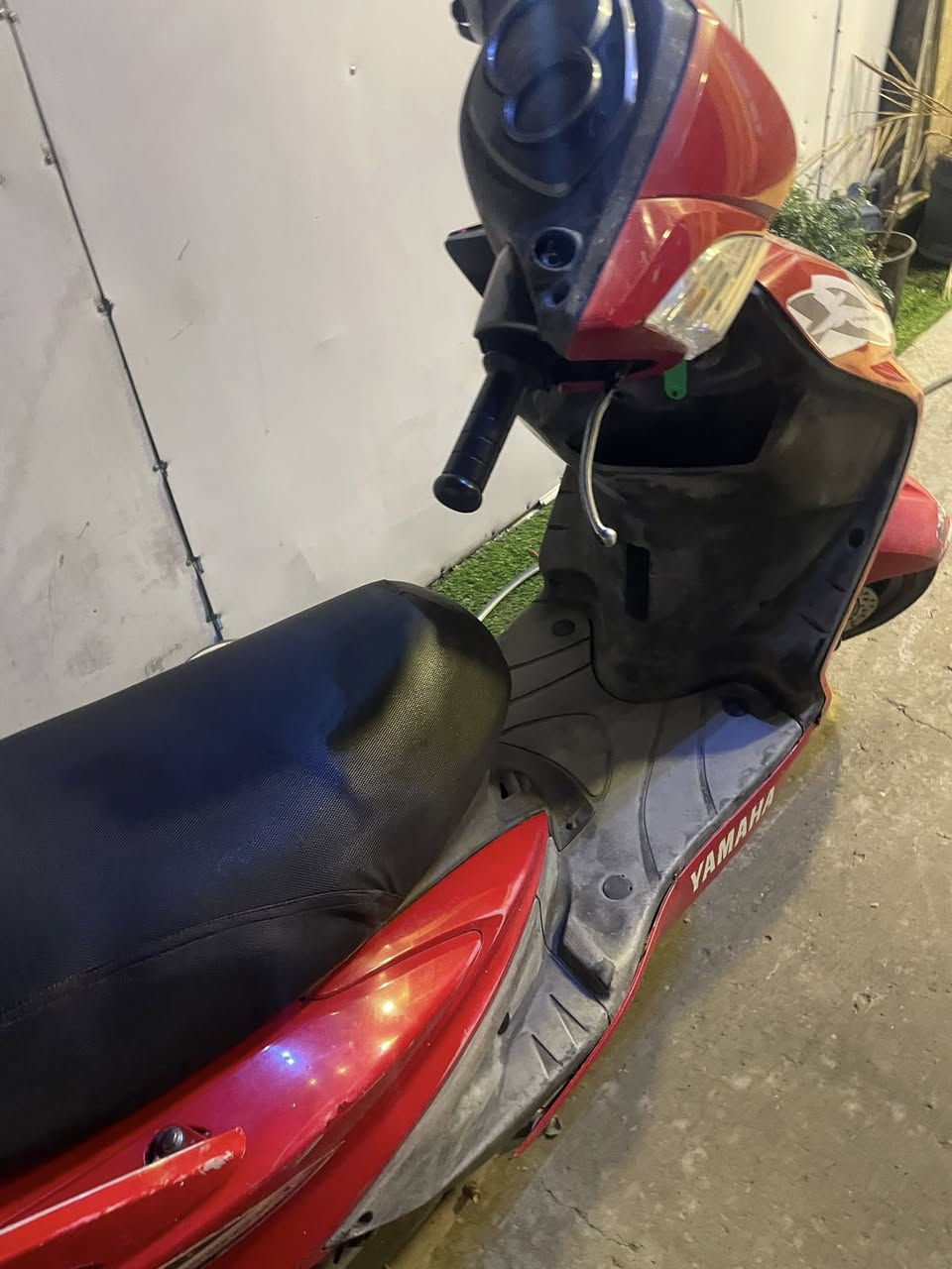 للبيع او مراوس سكنس فحل ياباني الأمين الثانيه ***********
