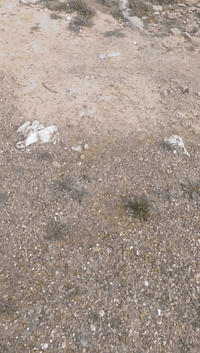 كاع 200متر للبيع اتصال 07717650595