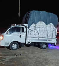 نشارة دواجن • درجة أولى • الصويرة واسط