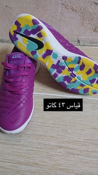صالات گاتو • اصلي