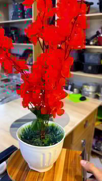 مجمع كرار • المسيب • مفتوح ٢٤ ساعة