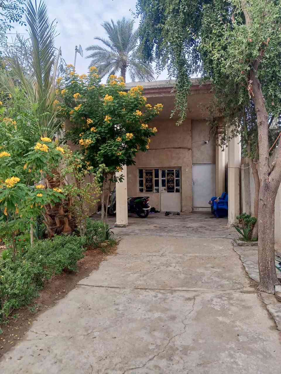 السلام عليكم دار +قطعه البيع المساحة 1000متر السعر 125وبي مجال بعض التفاصيل اتصل برقم ***********العنوان كربلاء سياحي الدعوم قرب سيد ستار العرداوي
