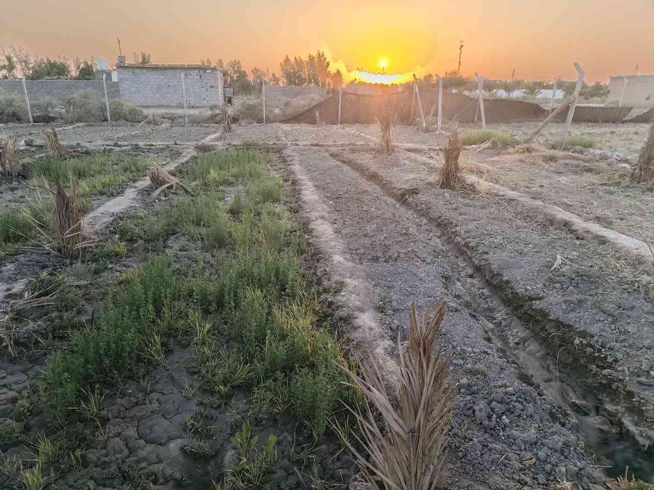 بيت زراعي + مزرعه مساحة فوك نص دونم يحتوي ع أنواع ازرع ولبيت صغير يحتوي ع غرفتين وصاله وصحيات وساحه الموقع بدايه الساده الشرامطه طريق سوق بصره قريب ع شارع العام 
سعر 19 وبي مجال ***********
