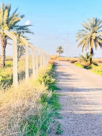 خان ضاري الزيدان • ٣ دونم • طابو زراعي