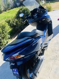 فورزا • أوراق كاملة • بلد