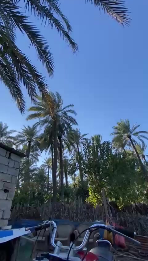 سلام عليكم 
mz للبيع
موديل 81
اتصال ع رقم ***********
