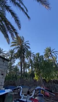 mz للبيع موديل 81 اتصال ع رقم 07721909469