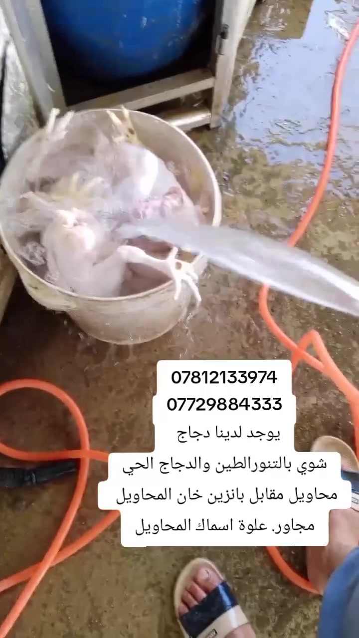 تجهيز كافة المناسبات بأسعار تنافسية


**إذا كنت صاحب هذا الإعلان وتريد حذفه لأي سبب، رجاءا أرسل رسالة إلى الدعم الفني**