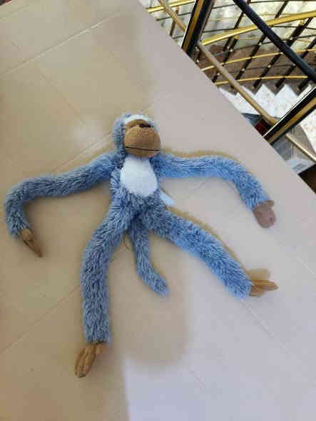 دباديب والعاب للبيع وبعد اكو صور غير المعروض المكان كربلاء *********** كربلاء
