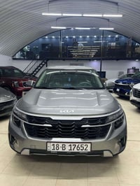 سلتوز • ٢٠٢٤ • ضرر خفيف