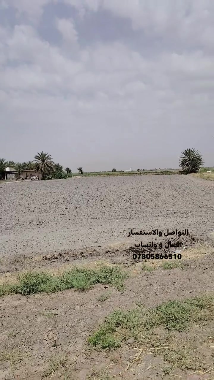 تفاصيل الارض داخل الفيديو
للاستفسار التواصل معي على الرقم التالي
*********** اتصال + واتساب
