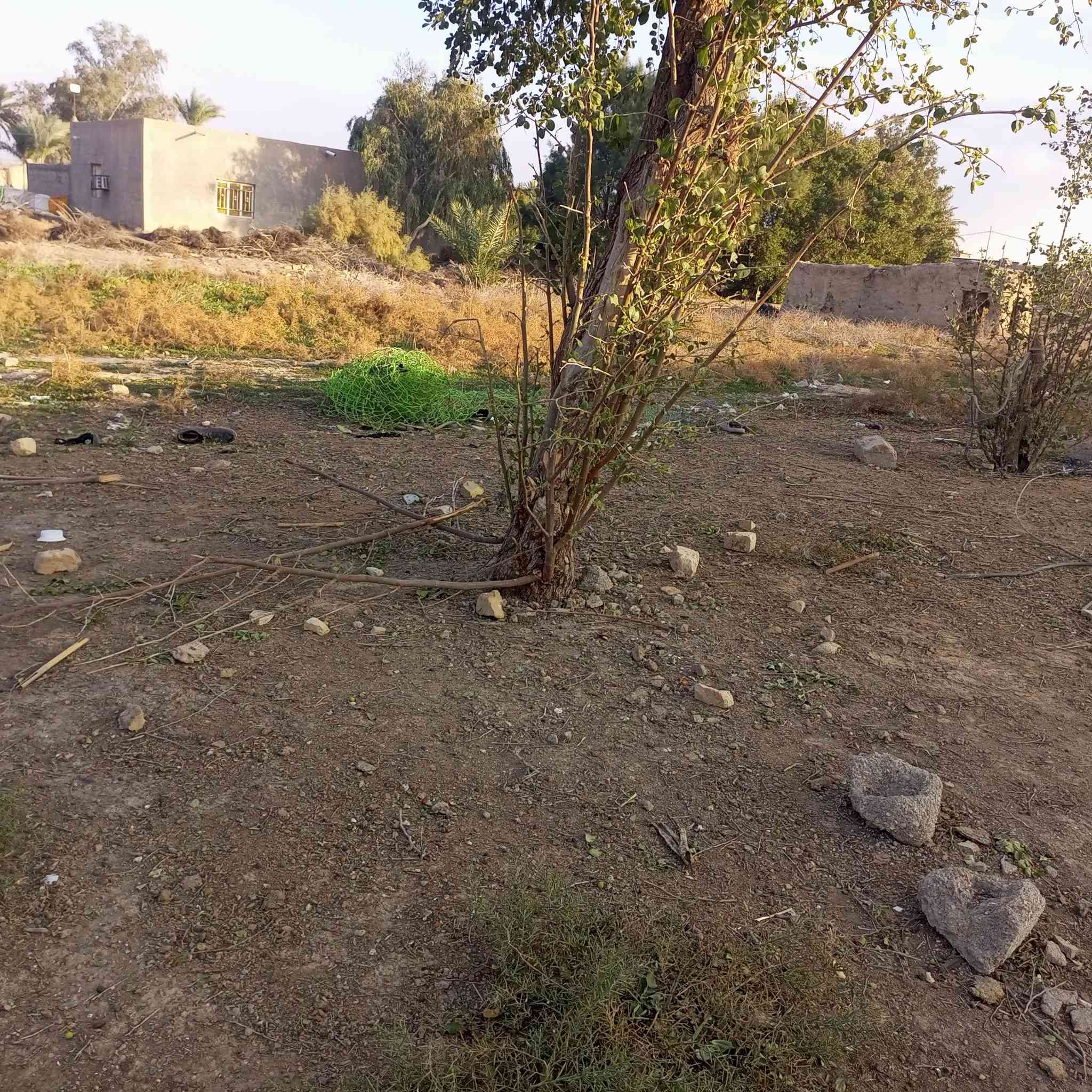 دار كبيره مع قطعة ارض للبيع
توجد جميع الخدمات ماء كهرباء تبليط مدرسه بتدائيه وثانويه قريبه وبسعر مميز زراعي علماً ان القطعه يمكنك بناء 4الى 5 منازل كبيره 

المكان الاحرار المزاك قرية الزهراء 

للتواصل ***********
