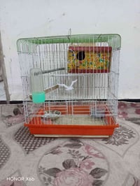 قفص • الحريه الأولى شارع المختار