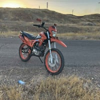 قفاز • كويار • برتقالي