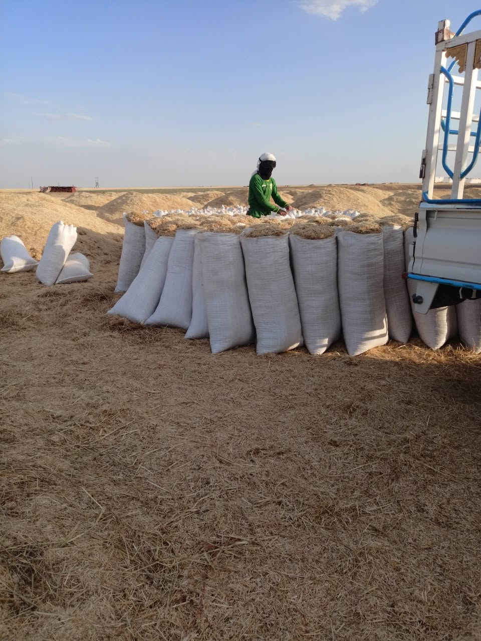 يوجد تبن للبيع جديد مال حنطة أبيض وناعم حجم الكيس ٥٥ الزوج ٢٠٠٠ واصل جميع مناطق الجدعه قيارة الشرقاط لاتصال على الرقم ***********
***********
يوجد تبن للبيع جديد مال حنطة أبيض وناعم حجم الكيس ٥٥ الزوج ٢٠٠٠ واصل جميع مناطق الجدعه قيارة الشرقاط لاتصال على الرقم ***********
