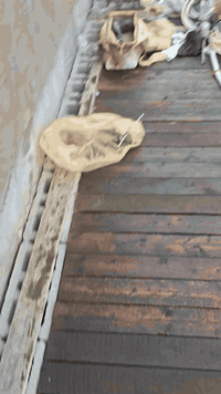 كادر متفرغ • حفر وتثبيت • البصرة