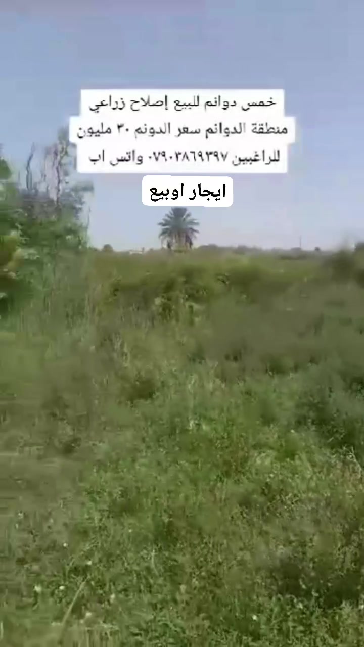 قطعه ارض ٥ دونم في بغداد منطقه الدوانم  بيع أو ايجار
رقم الهاتف /***********  واتساب
