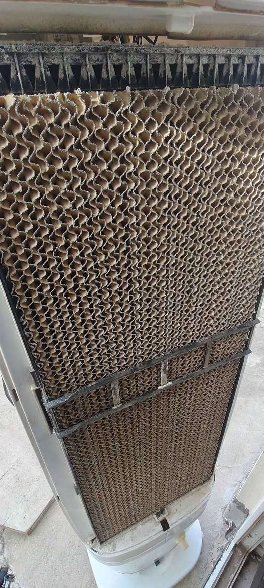 موبەریدەی ماربێڵ وەجبەی یەکەم
زۆر خاوێن و جوانە 
بەگرنتی عەیبی نییە 
کۆنتڕۆڵی خۆی لەگەڵە 
لۆک لۆکە

بۆ نرخەکەی 
پەیوەندی بەم ڕەقەمەوە بکەن 

*********** السليمانية, العراق
