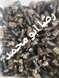 نوزلات بيكم • شبوط بنفسجي • مفحوص