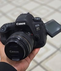 كانون 6D مارك 2 • عدسة 85mm f1.8 • شتر ٢٤٠٠٠