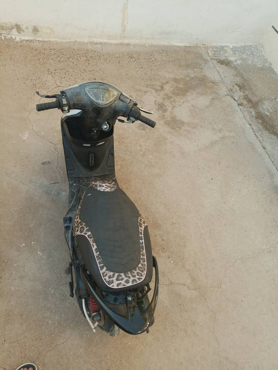 سلام عليكم شباب دراجه ماكس عدله للبيع بوشه 49
@إشارة 

سلام عليكم شباب دراجه ماكس عدله بوشه49 دراجه صلف

 هندر شغاله بكل وقت دراجه كاعده وحلوه 
بيه بس البراغي مال كور مال صالنصه مسحوكات يرادلهن تقلوز سعره400 وبيه مجال قليل شراي عيوني الك 

ما تشتري وتحب بس تعامل لتراسلني ابد خاص مفتوح


**إذا كنت صاحب هذا الإعلان وتريد حذفه لأي سبب، رجاءا أرسل رسالة إلى الدعم الفني**
