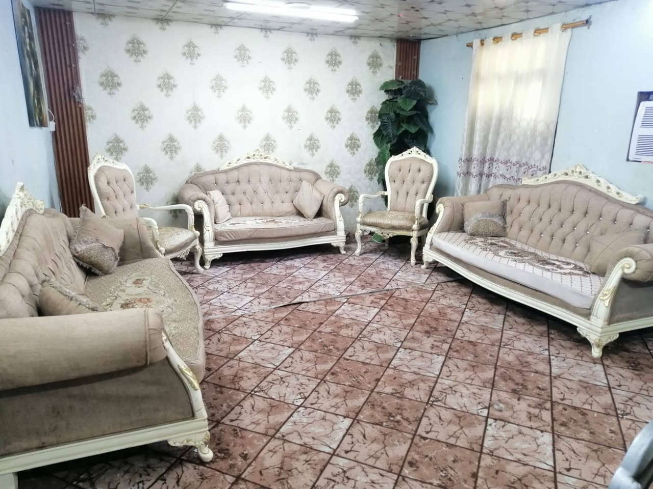 تخم زان تركي 10 نفرات نضيف 360 المكان الكاظمية يوجد توصيل ***********
