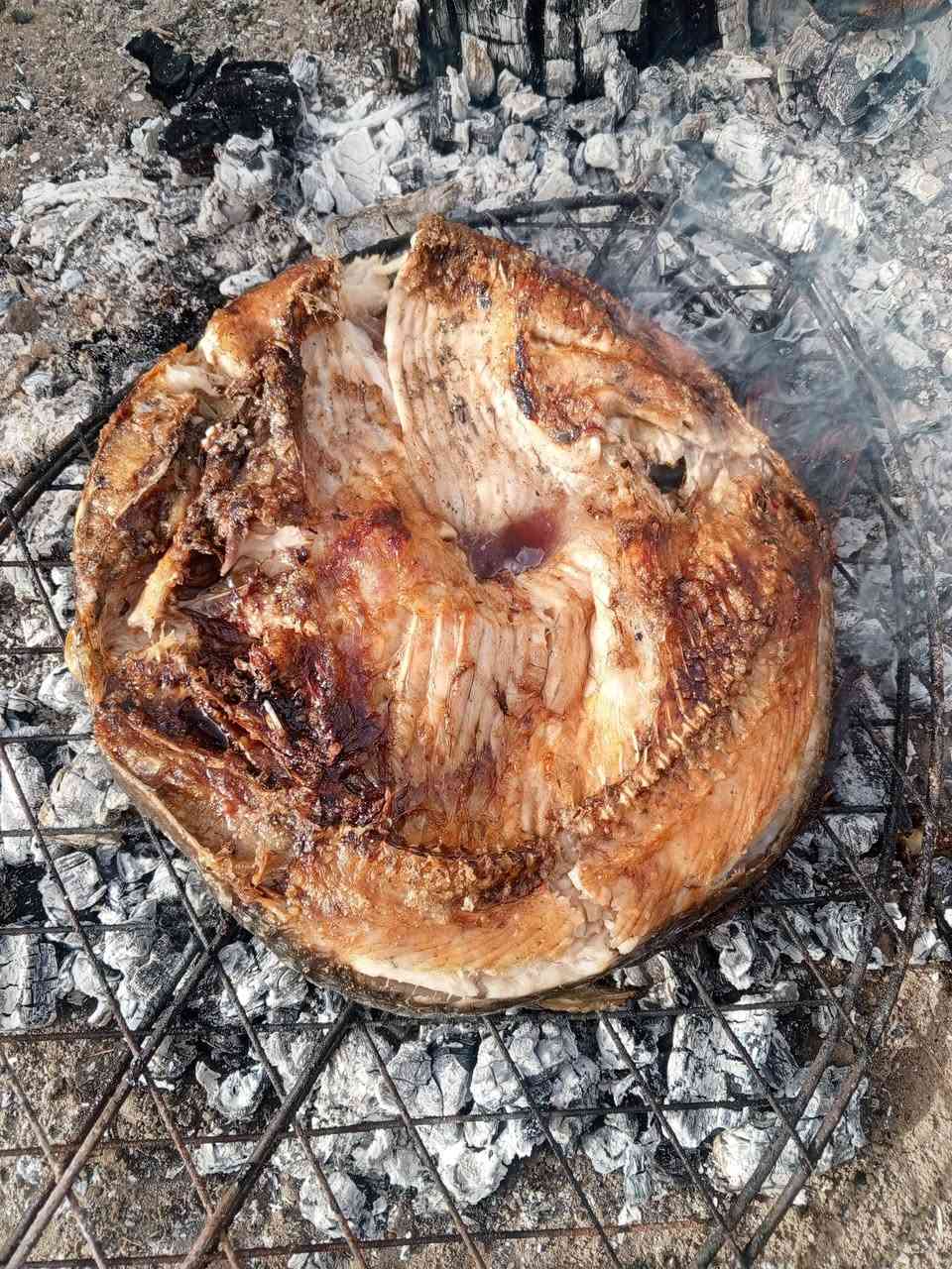 🙏 اللهم بارك لنا في رزقنا، وبارك لزبائننا،
واجعل عملنا خالصًا لوجهك الكريم،
وارزقنا الصدق والأمانة وحُسن التعامل.
🙏 اللهم رزق طيب، وسمعة طيبة، ورضا من الله.
🐟🔥 أسماك طارق حسين 🔥🐟
#الجودة_والمصداقية_أولاً ✨
✅ الشوي على مسؤوليتنا – شرط الطعم
✅ الحطب: كله حمضيات 🍋
📍 العنوان:
المهدي – الثانية
مجاور مركز خدمات الأخوين
💰 الأسعار:
▪️ يوجد جري
🐟 سكف سمج مال قفاص سوده :  كيلو 500 6
❄️ بدون شوي: الكيلو5500
🍗 دجاج ذبح: 500 3. كيلو
🙏 بفضل الله… المصداقية عنواننا
📞 أهلاً وسهلاً بالجميع
***********
