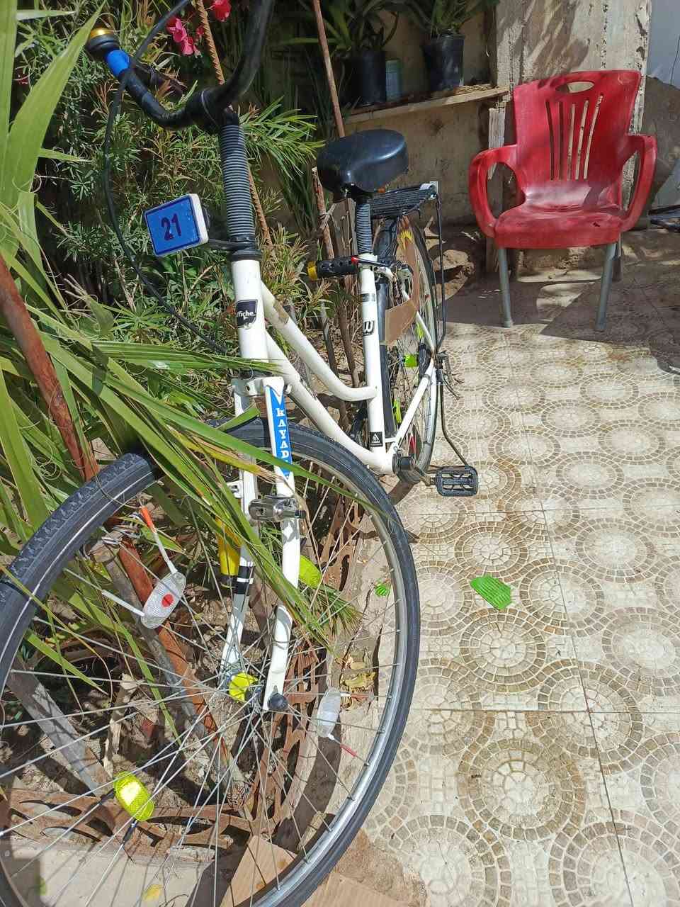 للبيع نضافه كدام اعيونكك نصيف كلش 
شركه اوفج مديل 2020
بــ١١٠وبي مجال 
بدون غراض بــ١٠٠
لاموشراي لايراسل رجائن 🧊👍🏼
مكان نجف ـ مشخاب يم كطعت المراجدهه💞


**إذا كنت صاحب هذا الإعلان وتريد حذفه لأي سبب، رجاءا أرسل رسالة إلى الدعم الفني**