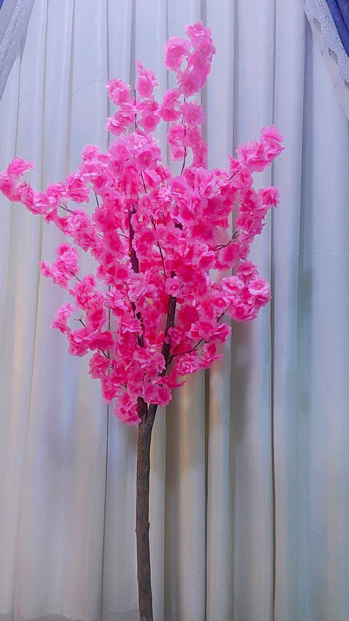 للحجز و الاستفسار مراسلة الصفحه


**إذا كنت صاحب هذا الإعلان وتريد حذفه لأي سبب، رجاءا أرسل رسالة إلى الدعم الفني**