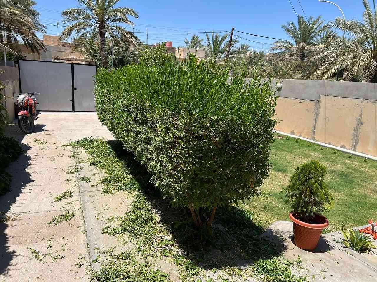 جزء من عملي قص وترتيب الحدائق

اتصل وتدلل ***********
