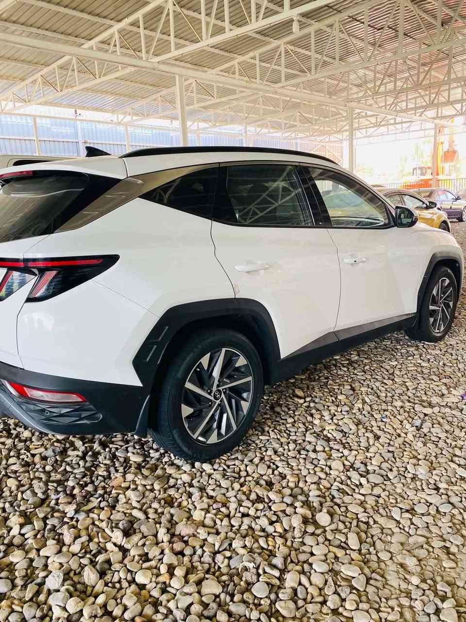 للبيع توسان 20خليجي اربيل كفالة عامه بأسمي ماشيه 120سنويه لل31 سياره مواصفات فول ماعدا البانوراما سياره جديده كلش مال جناي ***********///*********** بابل الشوملي السعر تتصل وتدلل دلال
