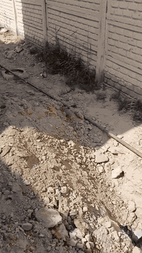 مستعدون لحفر الابار الارتوازيه وتعبيرات 
على شرط بأسعار مناسبه 
***********
