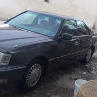 رأس الثور • ضربة بالحوض • مصبوغ اسود