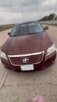 أفالون • ٢٠٠٨ • رقم صلاح الدين