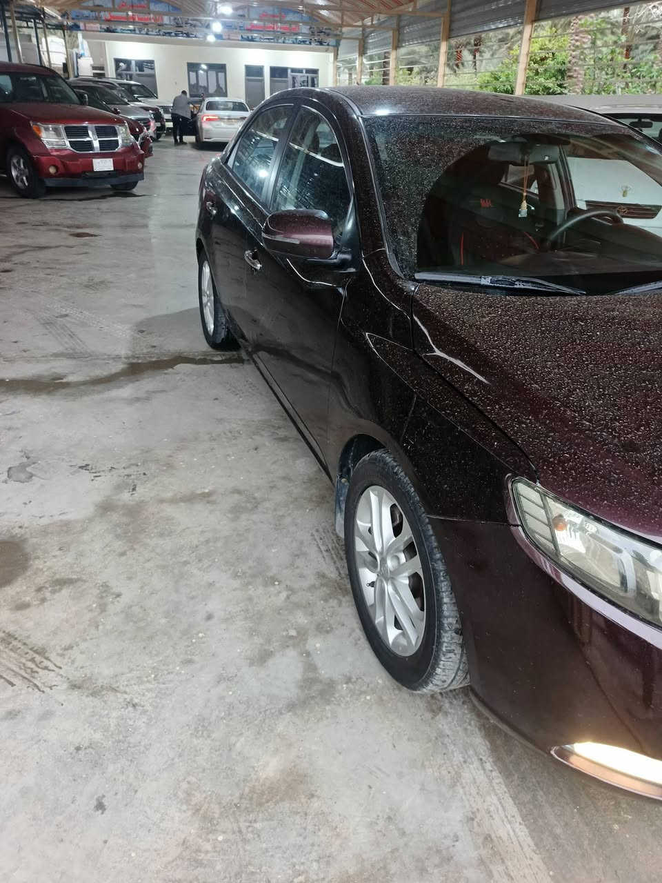 سلام عليكم سيراتو موديل ٢٠١١ خليجي مكينة ١٦٠٠ بيهة قطعتين صبغ رقم سليمانية الجديد السيارة جديدة بمعنى الكلمة السعر ٨٥ و بيهة مجال بسيط حك الجية المكان تقاطع القدس طريق الخالص معرض التساهل هاتف ***********
