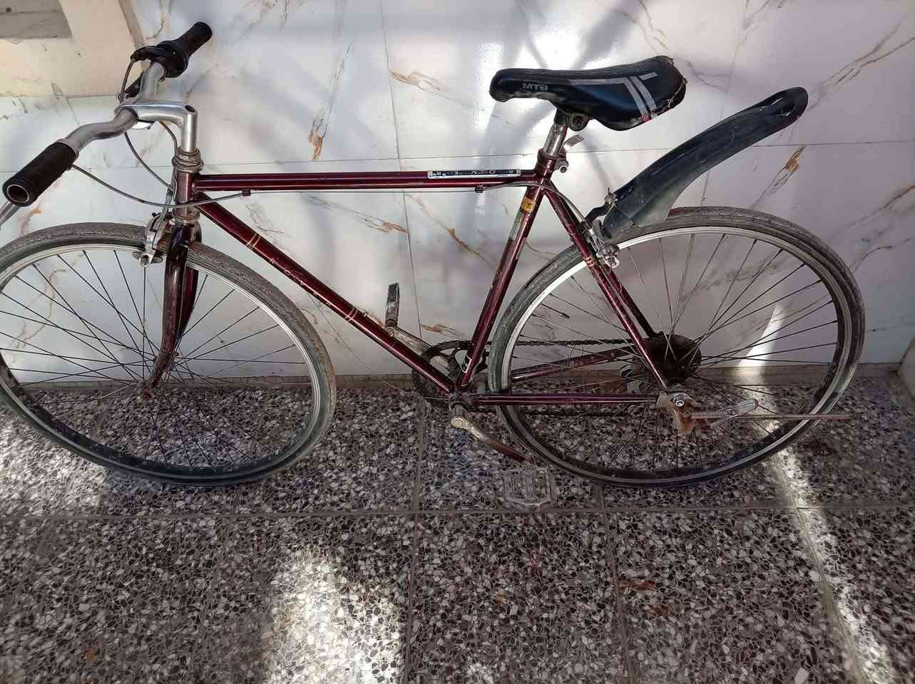 السلام عليكم عندي 3 باسكلات للبيع الباسكلات  واحد برازيلي  لون ازرك. وأحد سي سبعميه. نضيف لون احمر دم غزال. واحد بناتي  حجم 26 نضيف عكرب حساس كله شغال الباسكل نضيف نضيف لون نفطي  موديل 19   المكان بغداد البلديات والشراي ايراسل خاص ويدلل الرقم الهاتف  ***********
