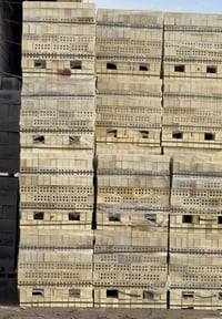 البصره • ثرمستون • بلوك سمنتي