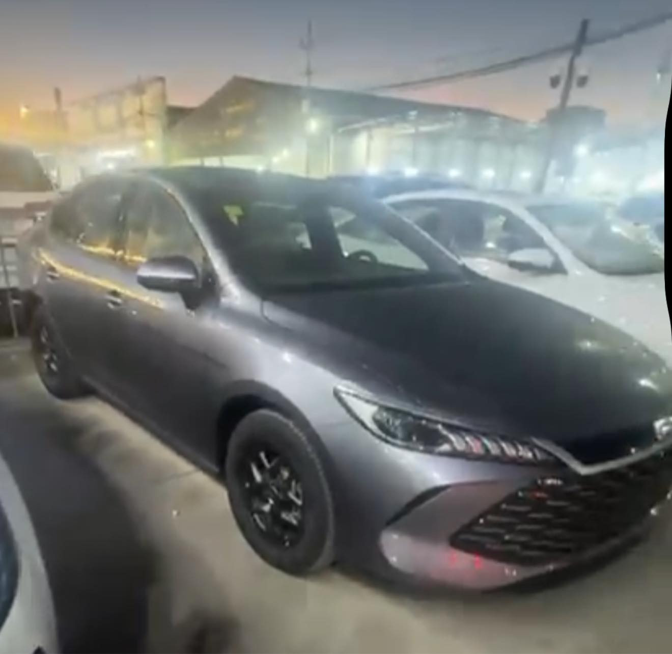 للبيع ماشيه 800 كيلو مرقم وكامل اربيل السعر 130 قفل عنوان نجف ***********
