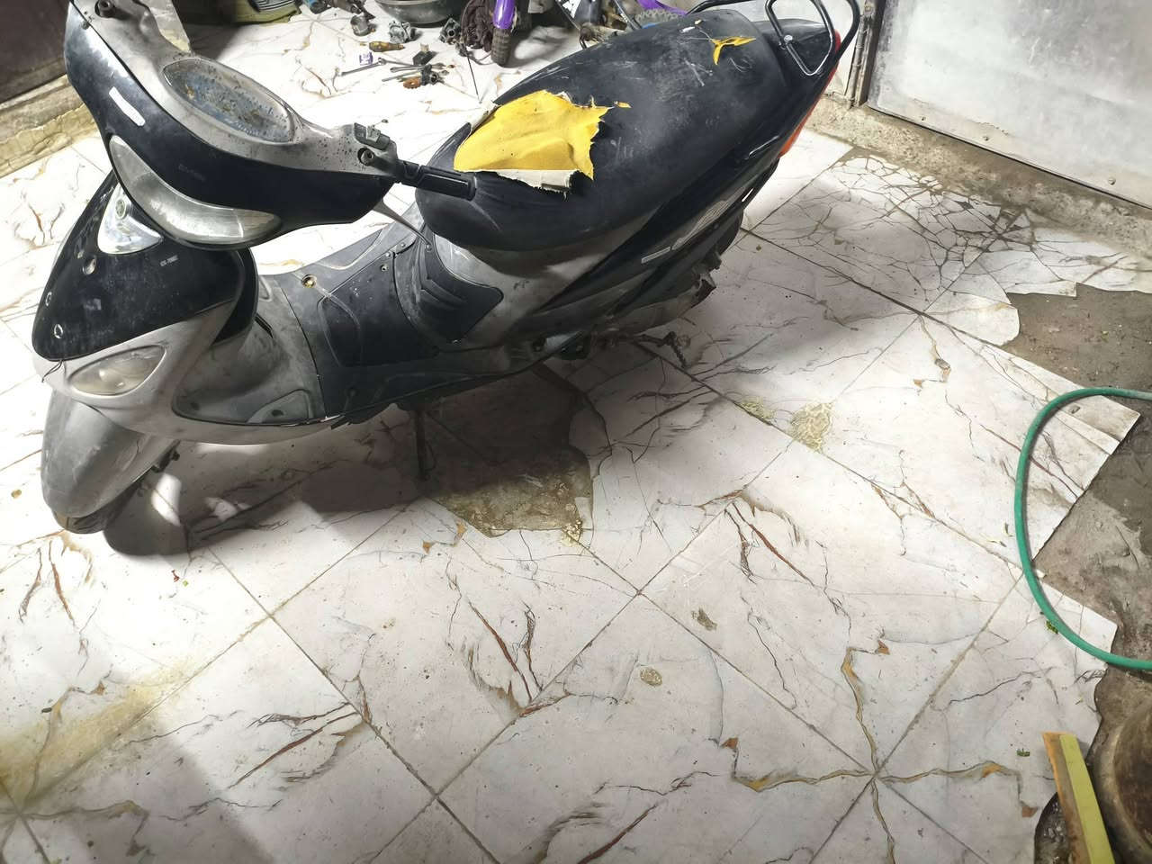 السلام عليكم ماكس منغولي للبيع بوشه 55عايزه كابريته ب300بيها مجال


**إذا كنت صاحب هذا الإعلان وتريد حذفه لأي سبب، رجاءا أرسل رسالة إلى الدعم الفني**